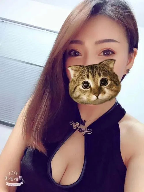 福田 下沙 西西