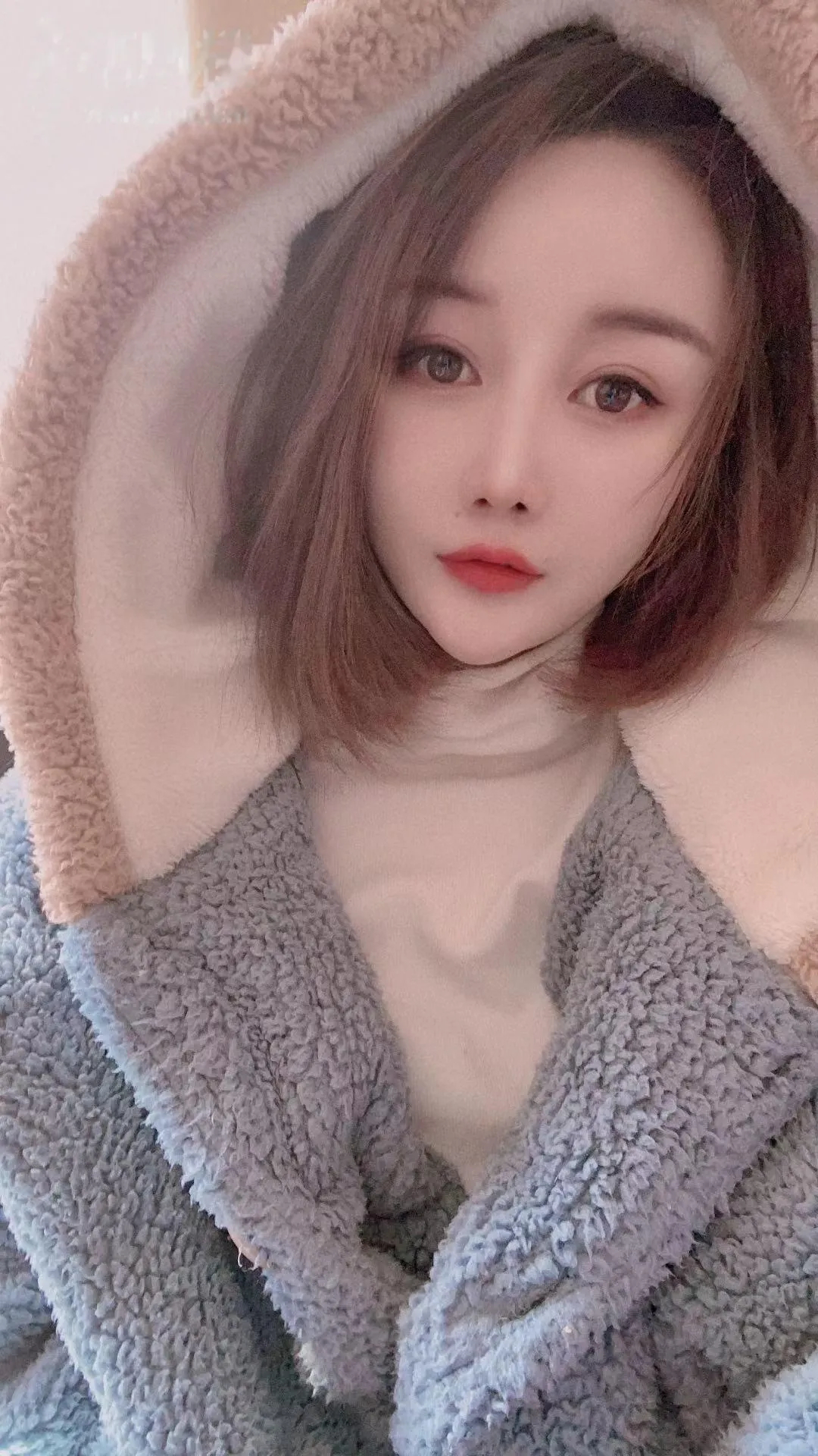 出来偷腥的猫咪