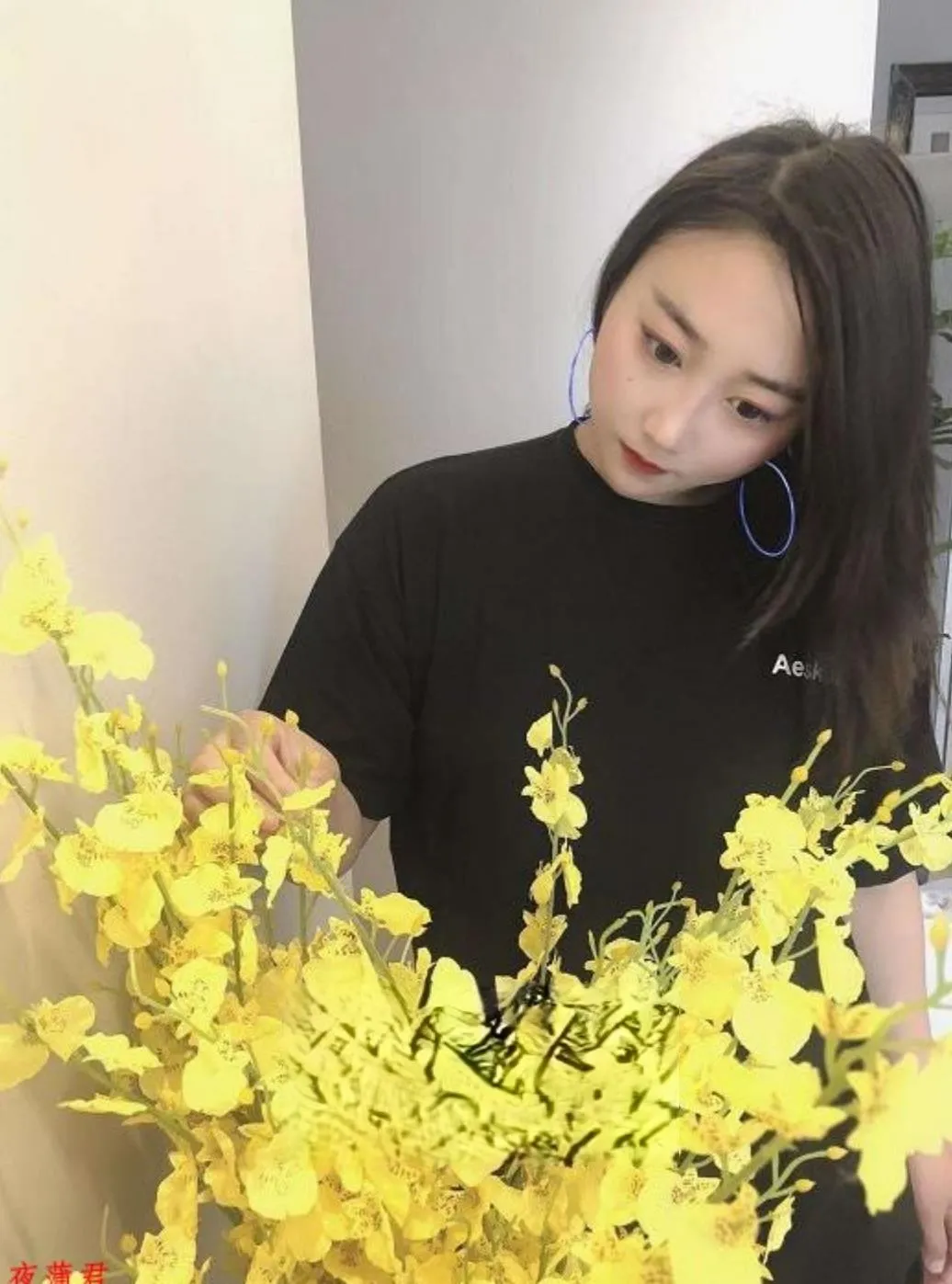深圳珊珊姐姐