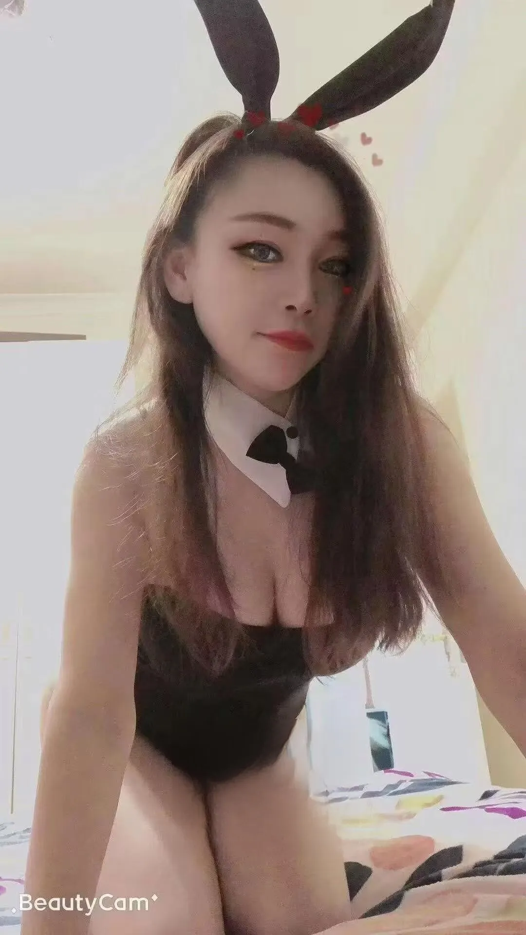 宝安大波小肥猫老师