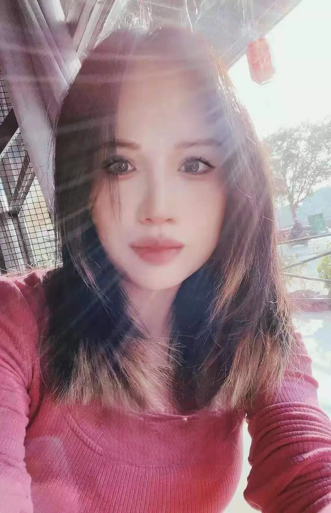 罗湖大屁股宠儿