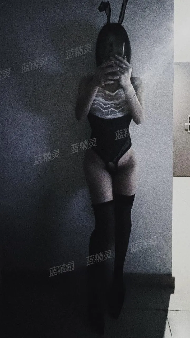 佛山南海蓝精灵