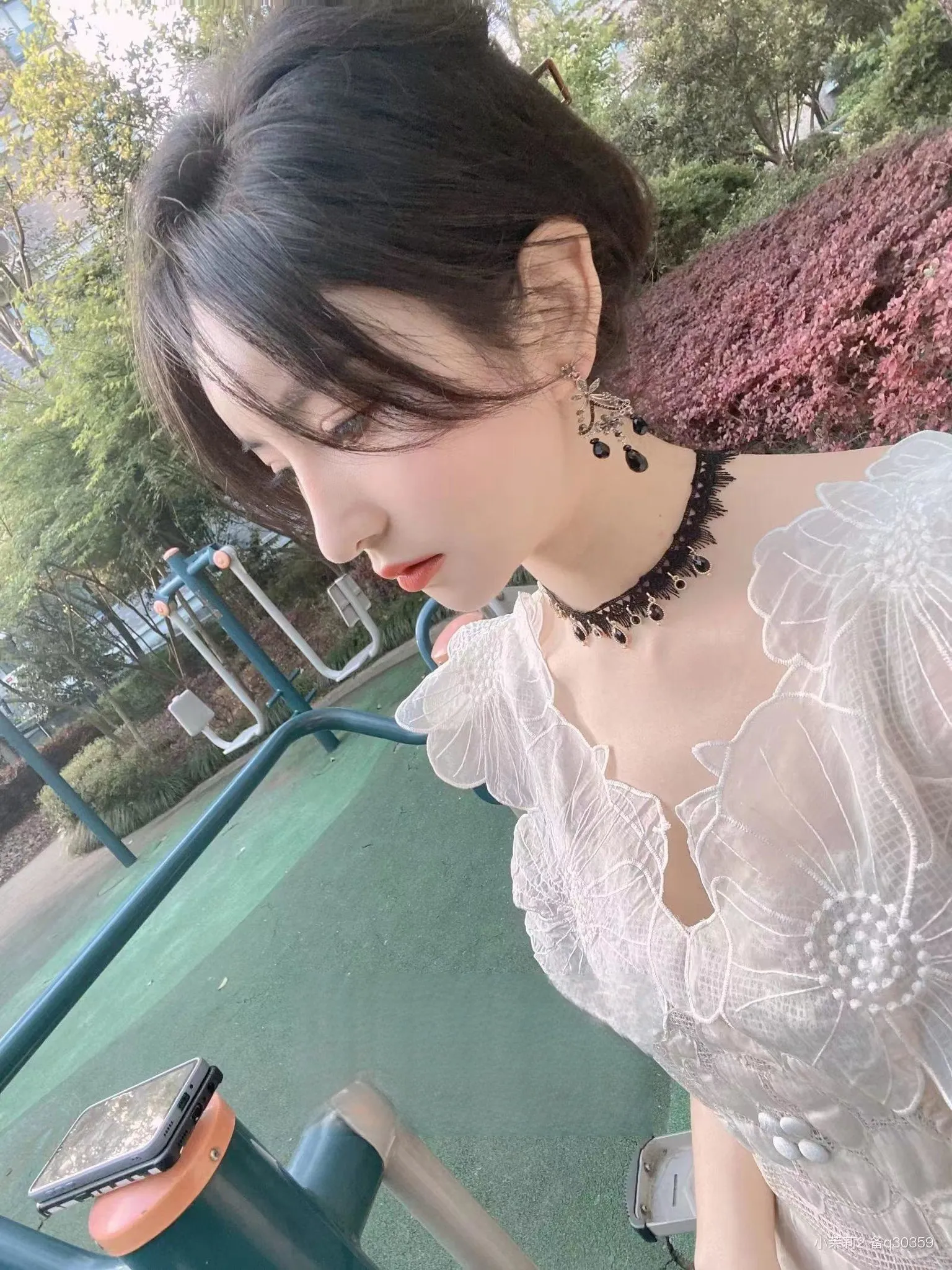 玫瑰