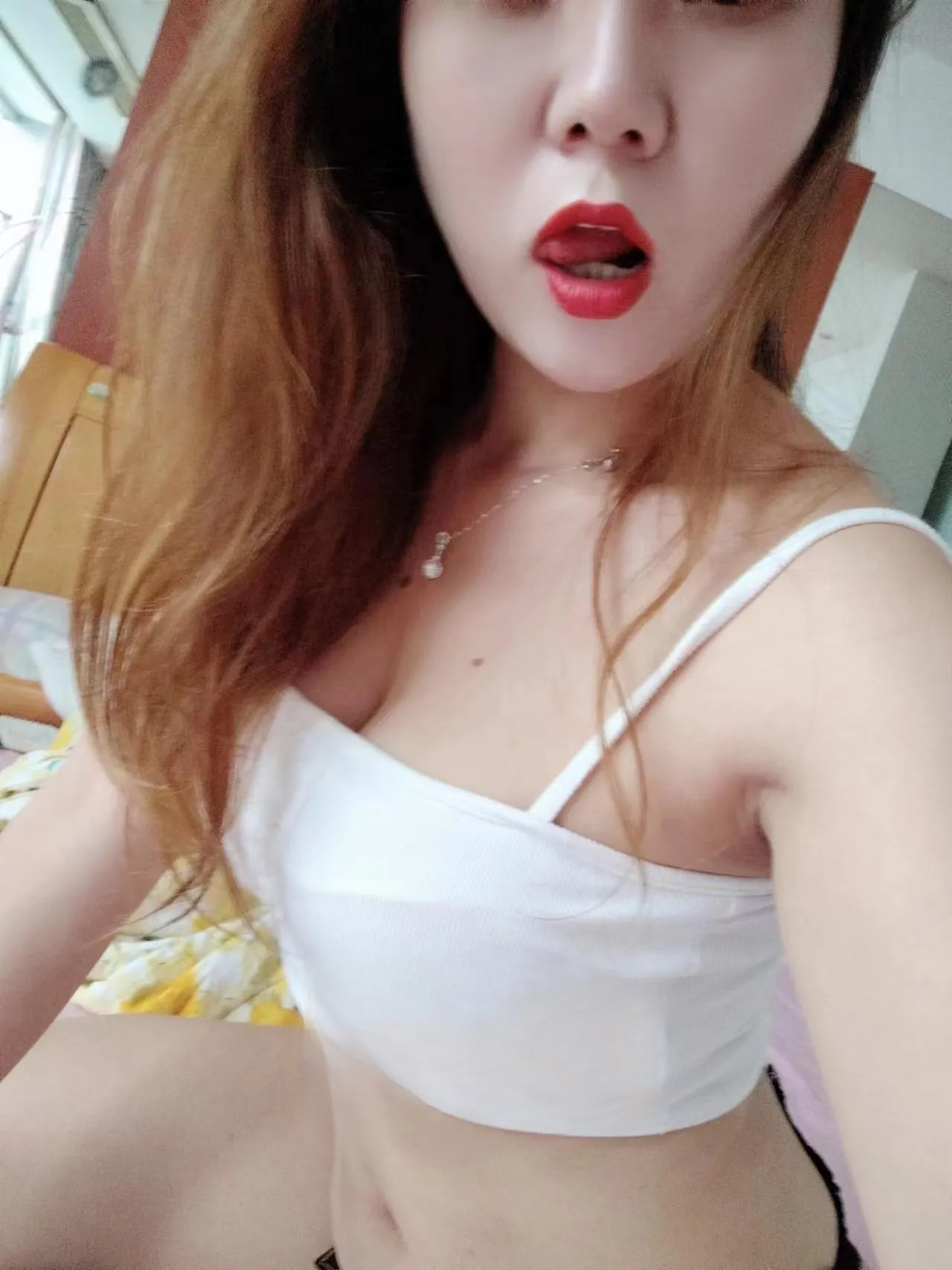 山西路小懒猫