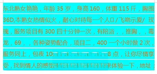 蜀山东北熟女艳艳