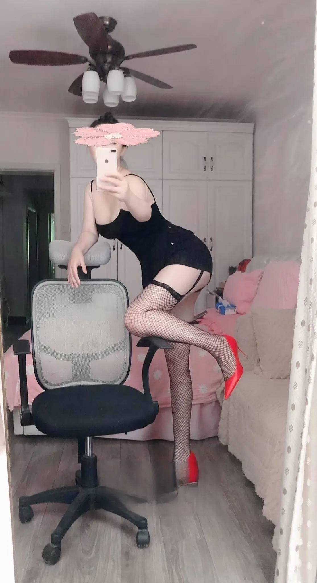 新街口大猫