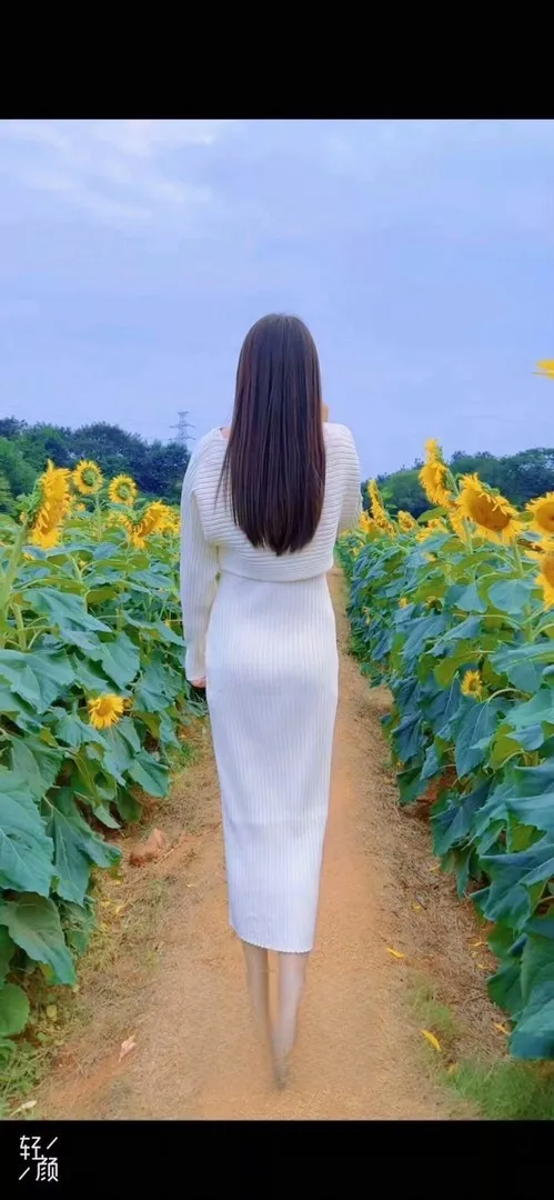 杭州洛溪梦