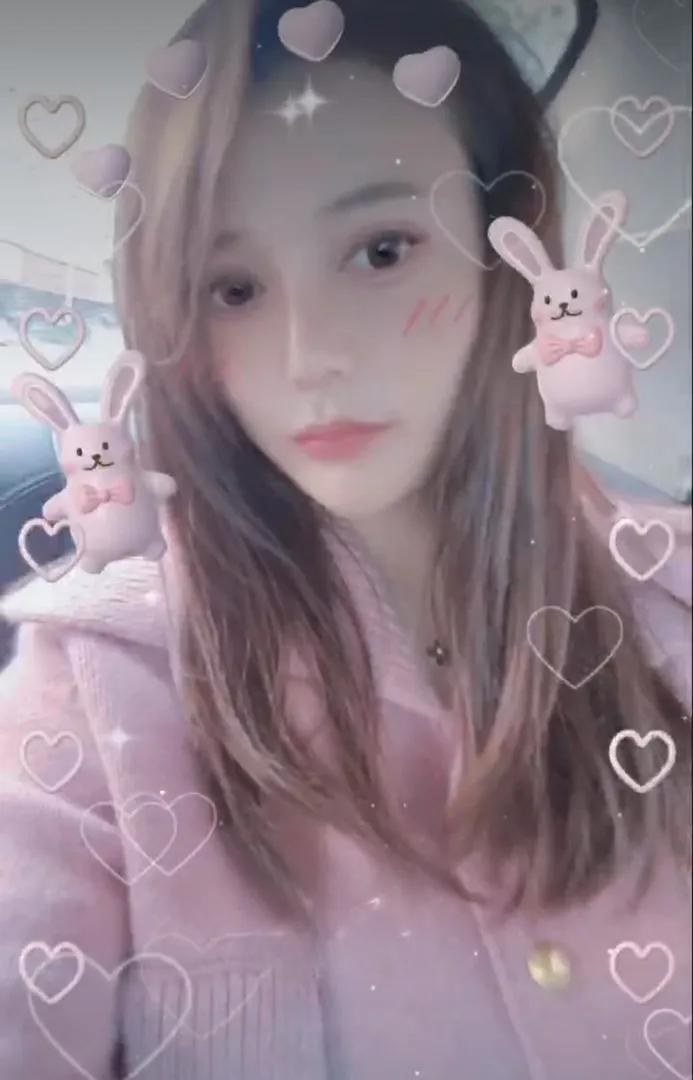 江宁小野猫