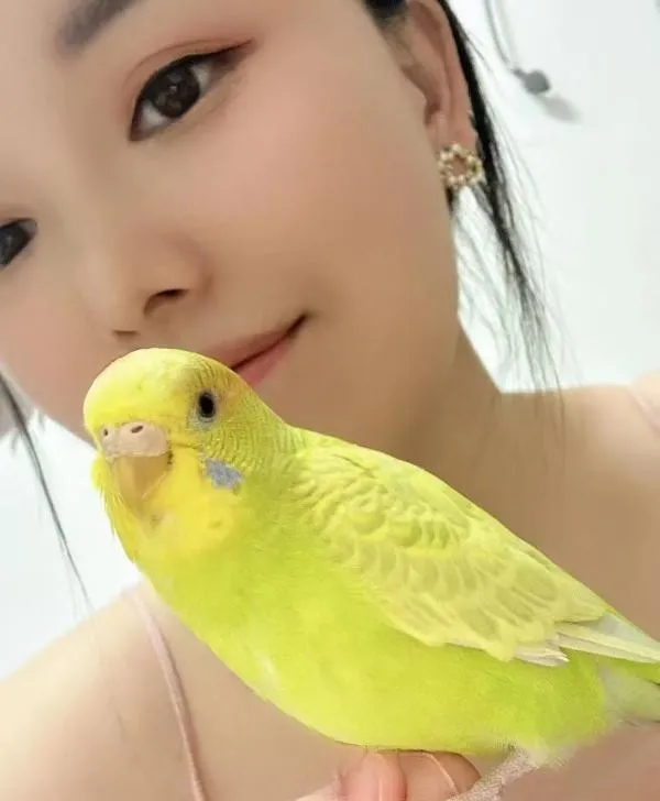 做SZ的小姐姐