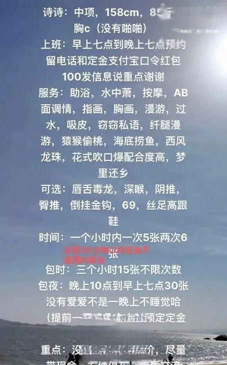 个人中项诗诗