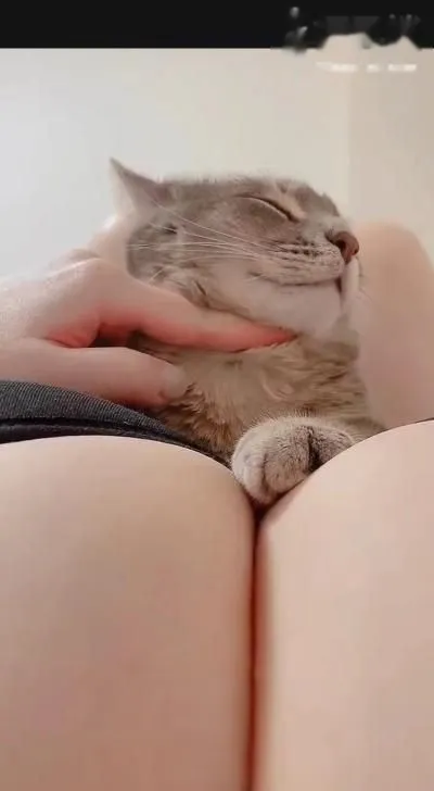 巨乳少妇f杯