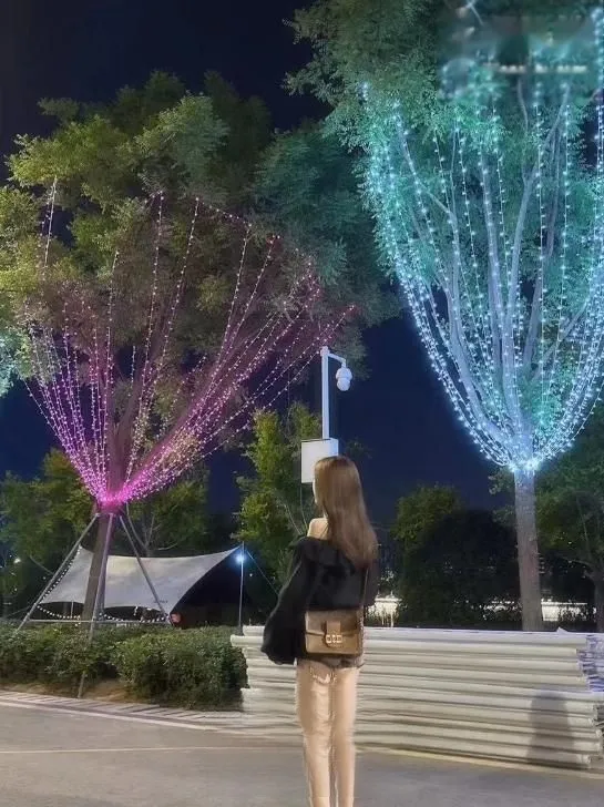 西丽气质长腿女友