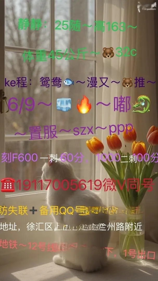 静静徐汇回归