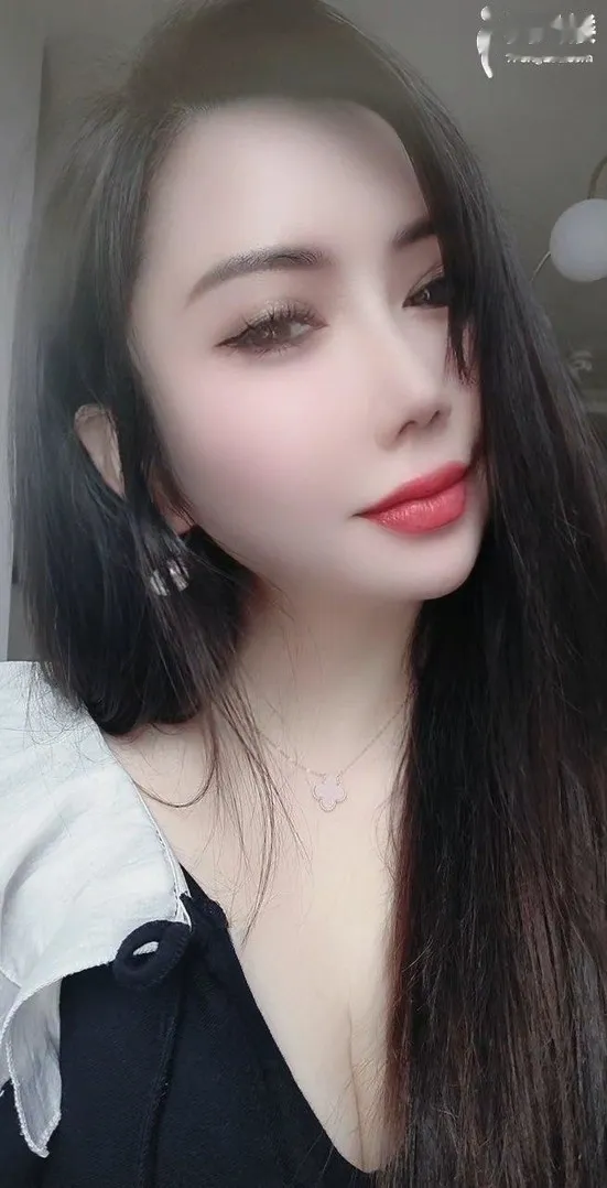 微胖小奶猫