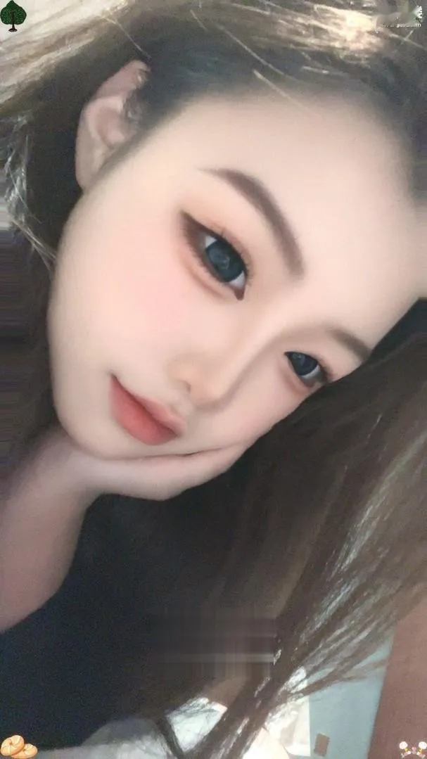 浦东172B长腿猫儿