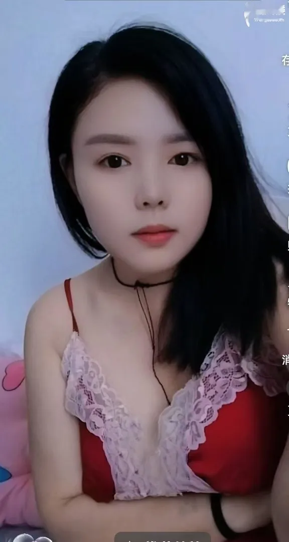 南方小姐姐