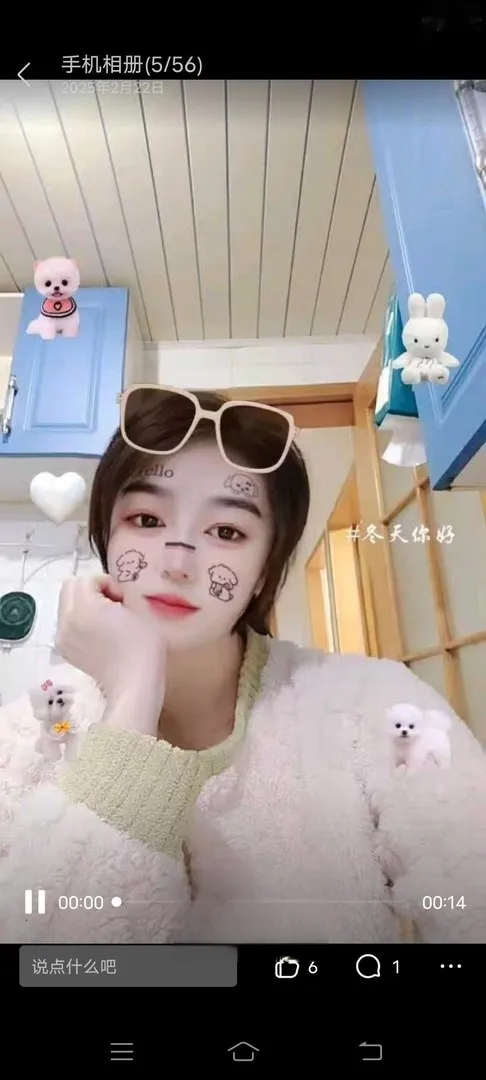 木樨园小新