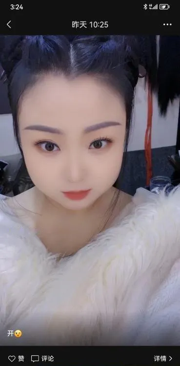 西青东北猫咪