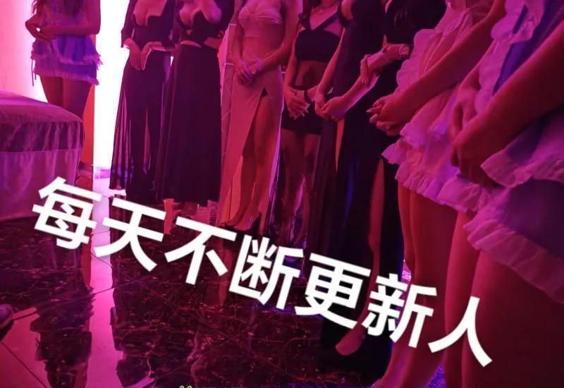 闵行区大型T台裸选