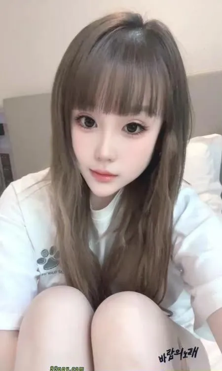 合肥豆豆