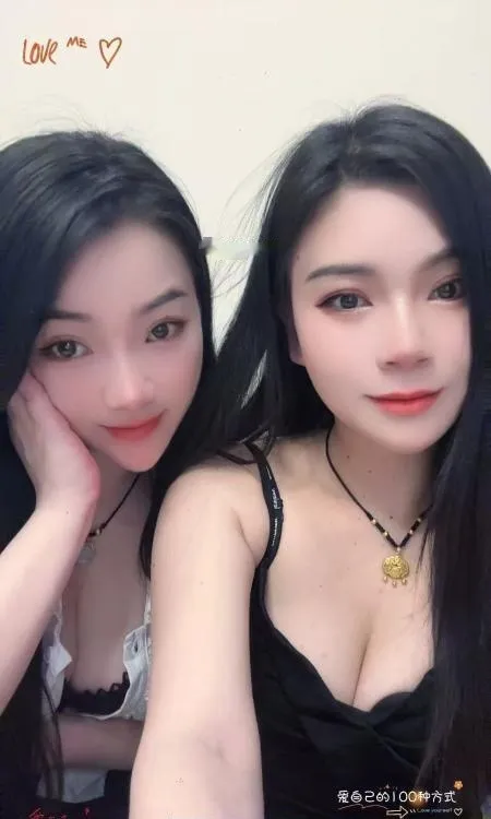 双飞爽记