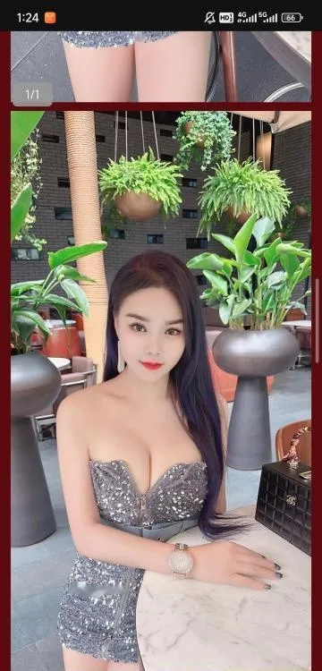 金牛玫瑰回归