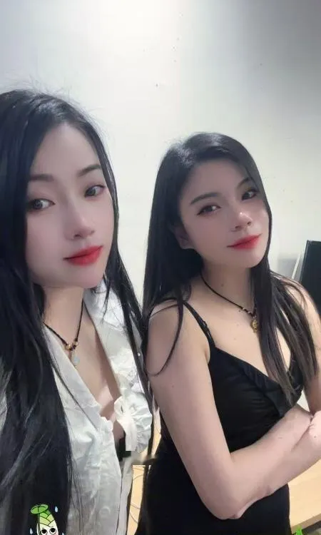 双飞爽记