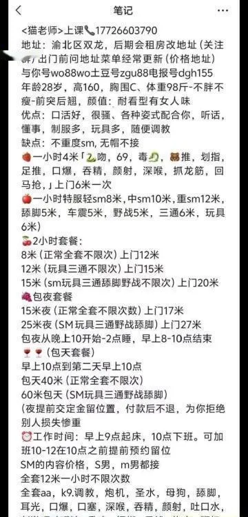 重庆猫老师