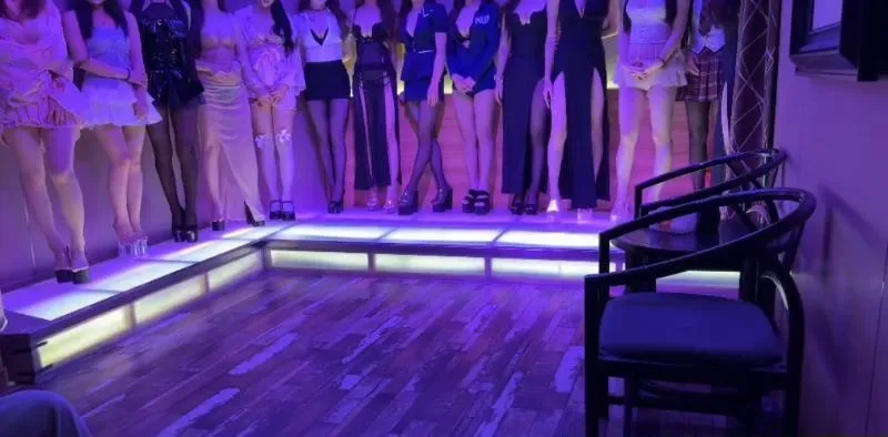 普陀嫩菜四T 海选场