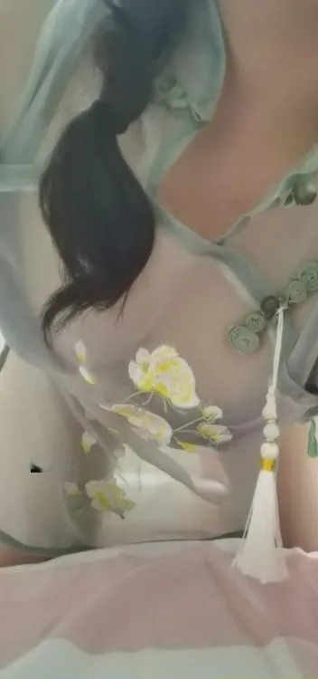 蜀山猫猫