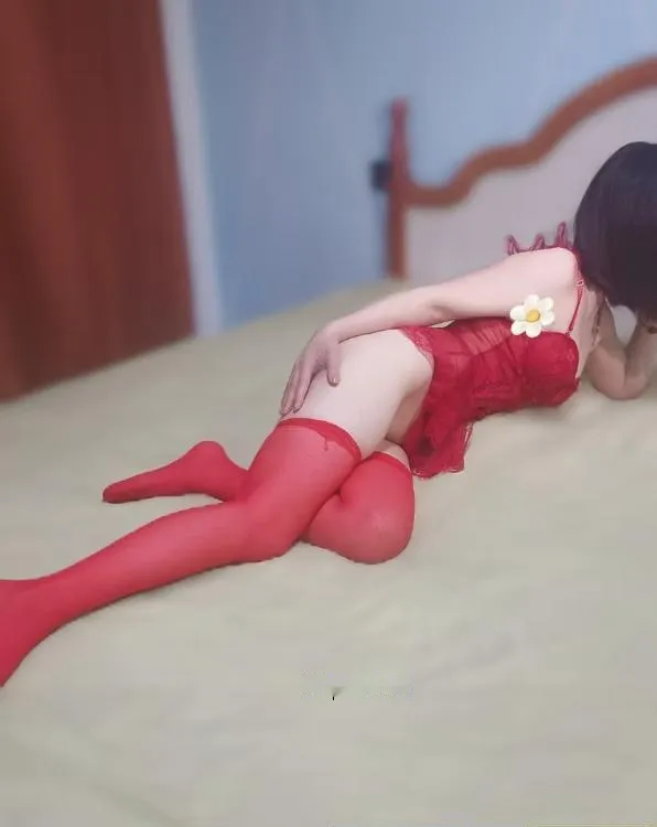 瑶海大白臀露露