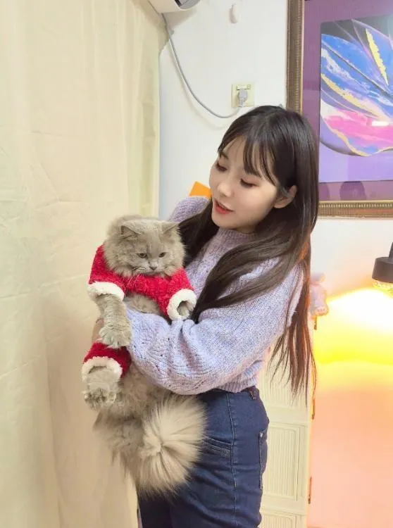 罗湖马达臀川妹妞妞