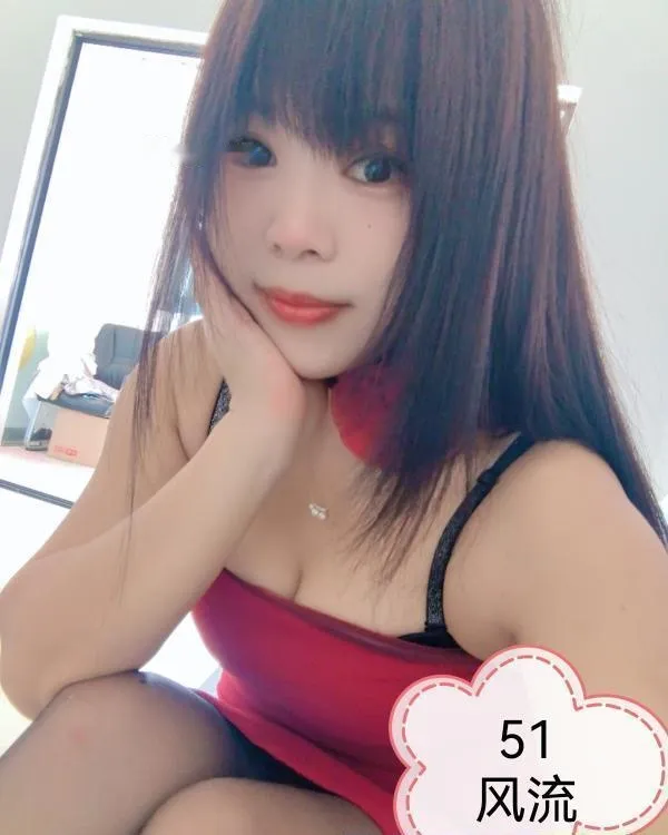 树木岭小狐狸