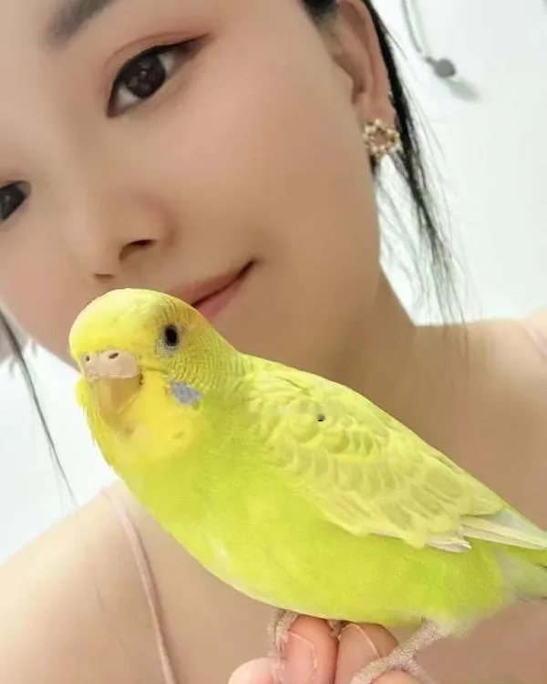 半套浅浅