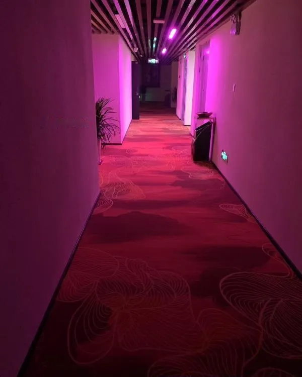 南郊特价海选
