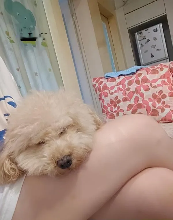 南坪工贸蝴蝶逼少妇