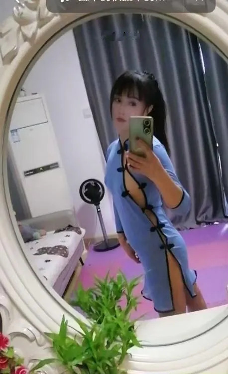 芙蓉小野猫