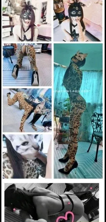 重庆猫老师
