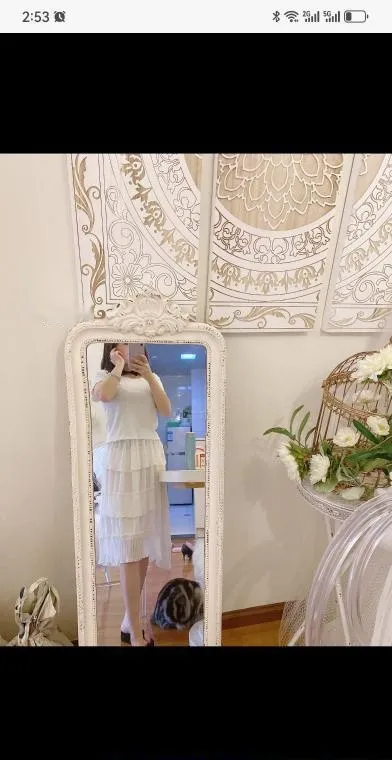 常州钟楼燕子