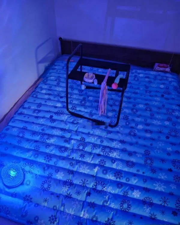 AV水床小刺猬