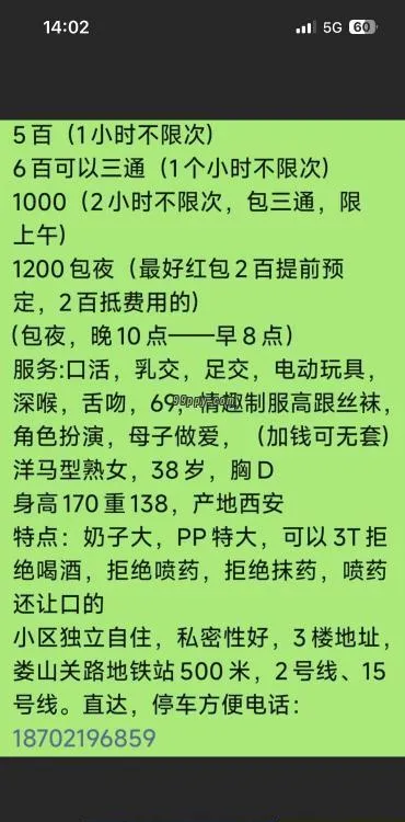洋马少妇
