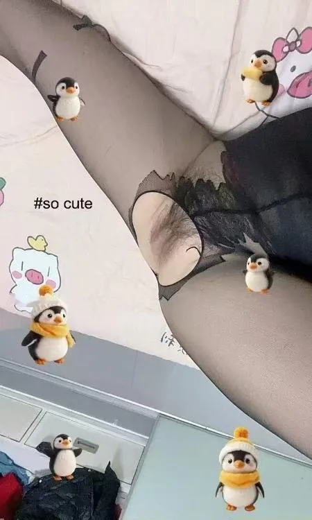 罗湖红牌大奶小蜜蜂