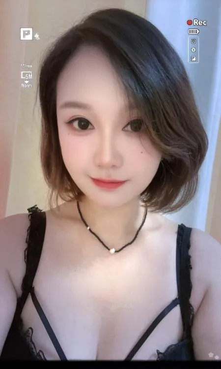 汉阳小野猫服务系