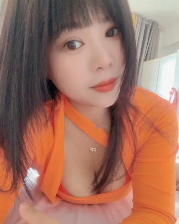 树木岭小狐狸
