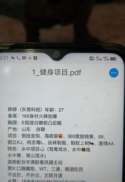 科班大奶婷婷