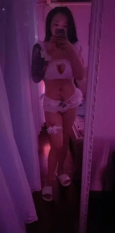 纯御姐中项