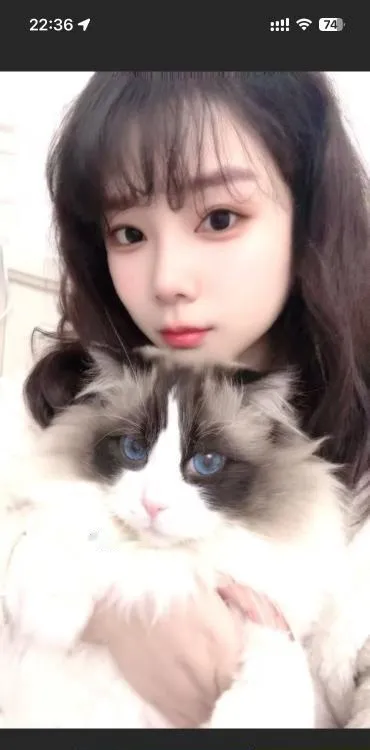性价比少妇