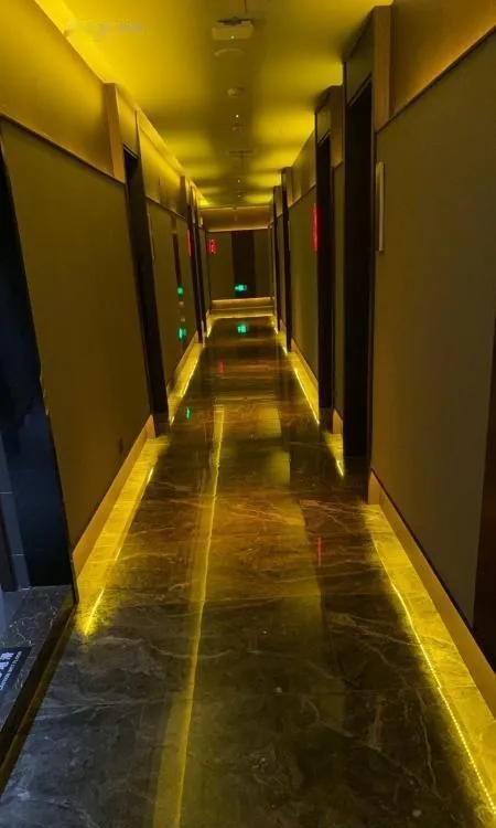 上海双飞半价两大骚货